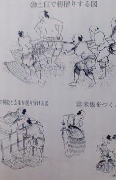 江戸時代の時代劇をみていると町民 農民 士族も頭を剃って髷を結っています Yahoo 知恵袋