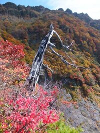 山の名前で質問です 山の名前に 漢数字 が入っている山で想い浮かぶ山は Yahoo 知恵袋