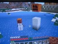 ｘｂｏｘ３６０マインクラフトでスノーゴーレムは作れますか作れるのなら作り方を教 Yahoo 知恵袋