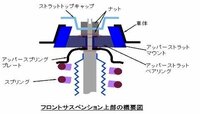 回答の画像