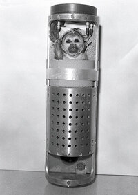 スペース ダンディのワンコの本名 第8話 一人ぼっちのワンコ星 Yahoo 知恵袋