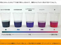 リトマス試験紙って指示薬の類でしょうか 後期試験の理科である Yahoo 知恵袋