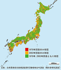 野生のキツネって、何県にいるのでしょうか？ - 北海道・・・... - Yahoo!知恵袋