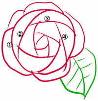 簡単な薔薇の描き方を教えて下さい やはり模写しかないのでしょう Yahoo 知恵袋
