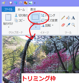 パソコンに取り込んだ写真のトリミングはどうしたらできますか Yahoo 知恵袋