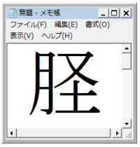 脛骨という漢字のことで質問です 最近の解剖学の本には月へんに Yahoo 知恵袋