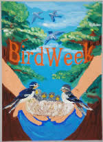 愛鳥週間のポスターを描くことになったんですが アイデアが浮かびませ Yahoo 知恵袋