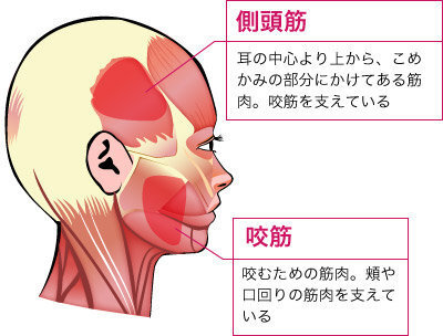 頭痛 虫歯 一昨日くらいから片側のこめかみ当たりがズキズキとものす Yahoo 知恵袋