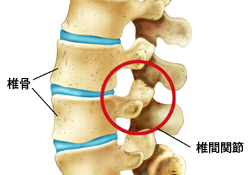 右肋骨の1番下らへんが痛いです 右側に体を傾ける というか力を入れて曲 Yahoo 知恵袋