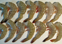 ブラックタイガー位の美味しいエビありますか アルゼンチン産赤海老有頭 Yahoo 知恵袋