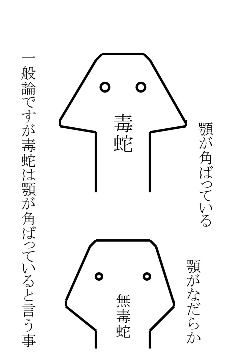 毒ヘビの見分け方 ヘビに毒があるかないかの見分け方として Yahoo 知恵袋