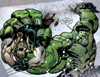 ハルクvsウルヴァリンどっちが勝ちますか 僕はハルクはma Yahoo 知恵袋