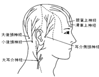 右後頭部の激痛 一週間程前に熱が出ました 熱自体は下がったのです Yahoo 知恵袋