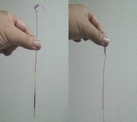 線香花火はどっちに点火するのですか 紙コヨリのヒラヒラ Yahoo 知恵袋