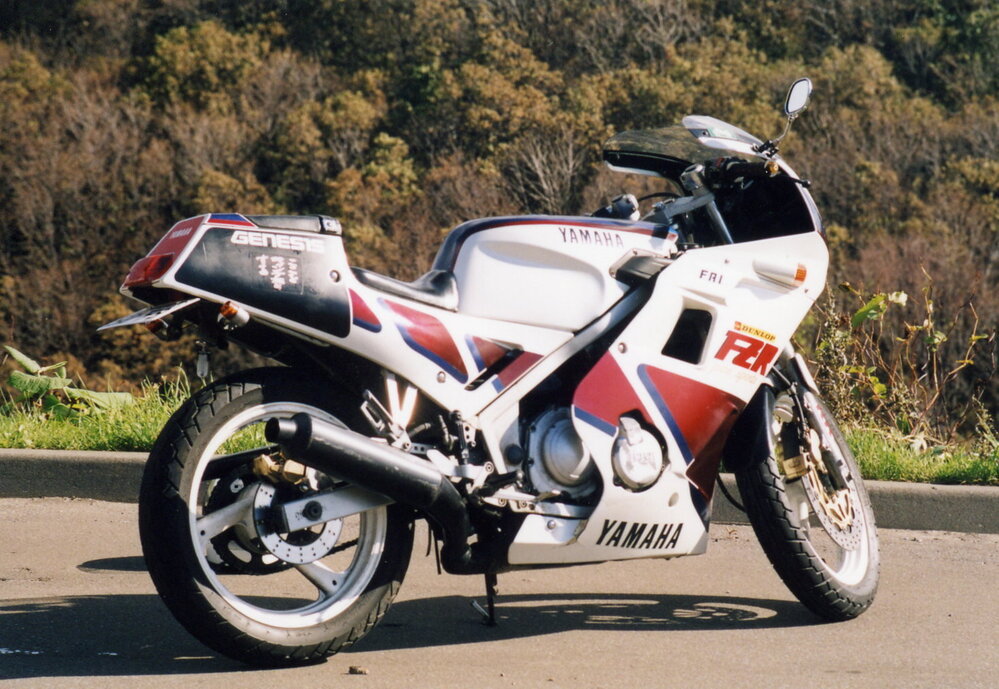 FZR250 キャブOHまたは交換、左フロントフォークOH要