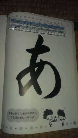 いろいろ 五十 習字 お手本 ひらがな 0796