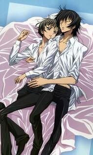 コードギアスのロロって ホモなんですか ルルーシュの事が大好きなだけな Yahoo 知恵袋