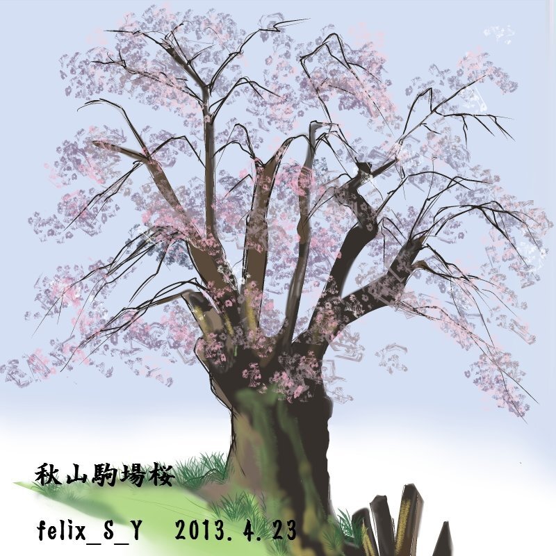 至急 しだれ桜をかきたいのです 構図は縦書きのポスター しだれ Yahoo 知恵袋