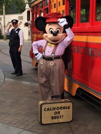 ラインのトプ画でディズニーの画像ください カリフォルニアに行った時に撮 Yahoo 知恵袋