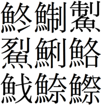 コノシロの漢字は4つあるようですが どれが最も一般的ですか ま Yahoo 知恵袋