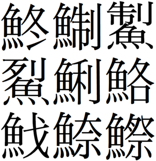 最も人気のある どじょう 漢字で 魚の画像は無料