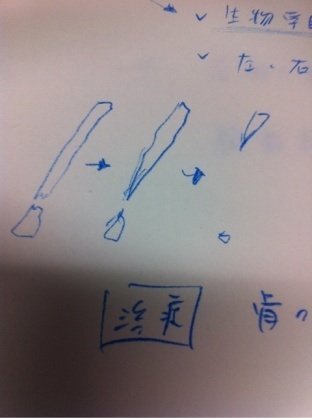2ヶ月前に骨折した愛犬についてです 2ヶ月前に愛犬トイプードル2 Yahoo 知恵袋