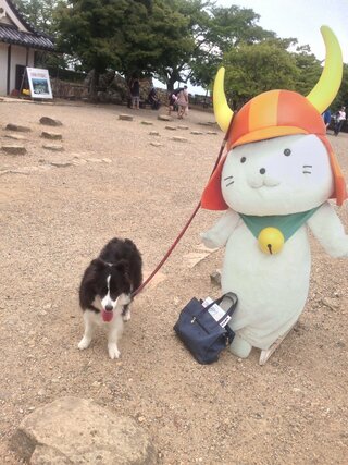 姫路城の三の丸広場にはペット 犬 を連れて入ることはできますか Yahoo 知恵袋
