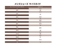 ルイヴィトン メンズ 革靴 サイズ5-