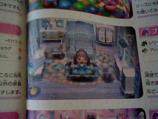 とびだせどうぶつの森の相談です お部屋をプリンセス風にしようと思 Yahoo 知恵袋