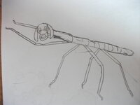 絵のアイデアが思いつかない時にはどうすればいいですか 課題で絵を数十枚描かな Yahoo 知恵袋