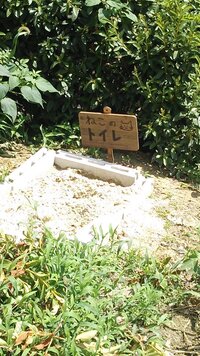 野良猫用に野外トイレを作ろうかと考えてます 河川敷近くの私有地に野良 Yahoo 知恵袋