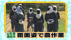 山形県って 美人が多い県ですか 庄内美人とはいうけれども 内陸 Yahoo 知恵袋