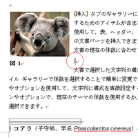 Wordで文書を作成しているのですが 図表番号に脚注をつけるにはどう Yahoo 知恵袋