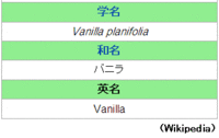 バニラって日本語でなんていうんですか 日本語の名前も バニラ Yahoo 知恵袋
