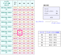 カップ数について 高１ 女です 今 バストのサイズを測ってみ Yahoo 知恵袋