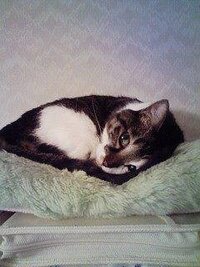 Isee Saidtheblindman わかった 見えた と盲目の Yahoo 知恵袋