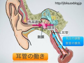 が 鼻 た を 詰まっ 耳 かんだ ら