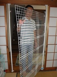 猫が外に出たがるのですが 飼い主にできることはなんでしょうか Yahoo 知恵袋
