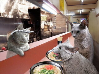 猫ラーメン から想像できる事とは 猫が作って猫が食べ Yahoo 知恵袋