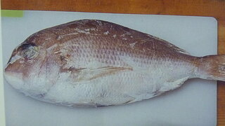 根魚 カサゴ メバル類 の冷凍保存方法について船釣で50匹程度釣れるのですが Yahoo 知恵袋