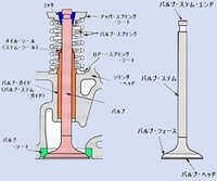 回答の画像