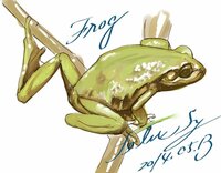 蛙の絵の描き方 こんばんは イラストの練習をしているのです Yahoo 知恵袋