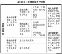 放射能が急に怖くなりました 17才近畿在住の者です 放射能の食品 Yahoo 知恵袋