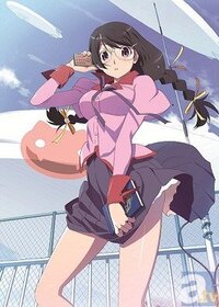 物語シリーズの羽川翼と戦場ヶ原ひたぎ どちらがニーハイブーツを履いたら似合い Yahoo 知恵袋