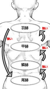 東京喰種で赫子の意味を教えてください たまに東京喰種と調べろと出てくるので Yahoo 知恵袋