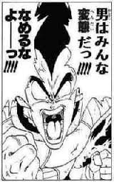 ドラゴンボールzのべジータの汚い花火発言とフリーザの綺麗な花 Yahoo 知恵袋
