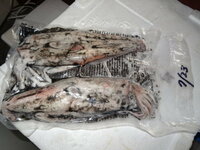 イカの刺身用の冷凍保存期間に関してです新鮮な刺身用のイカを処 Yahoo 知恵袋