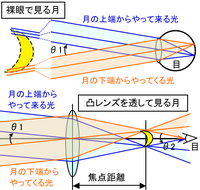 中学理科の 凸レンズを使った光の実験の問題です 凸レンズの左に物体 Yahoo 知恵袋