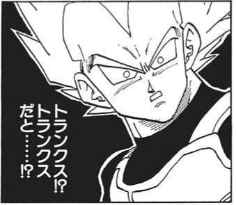 ドラゴンボール話です ベジータとブルマは青年期トランクスが自分の Yahoo 知恵袋