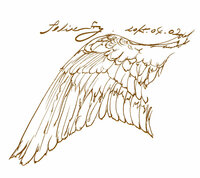 デッサンやイラストで 天使の羽 もしくは鳥の羽をかきたいのですが な Yahoo 知恵袋